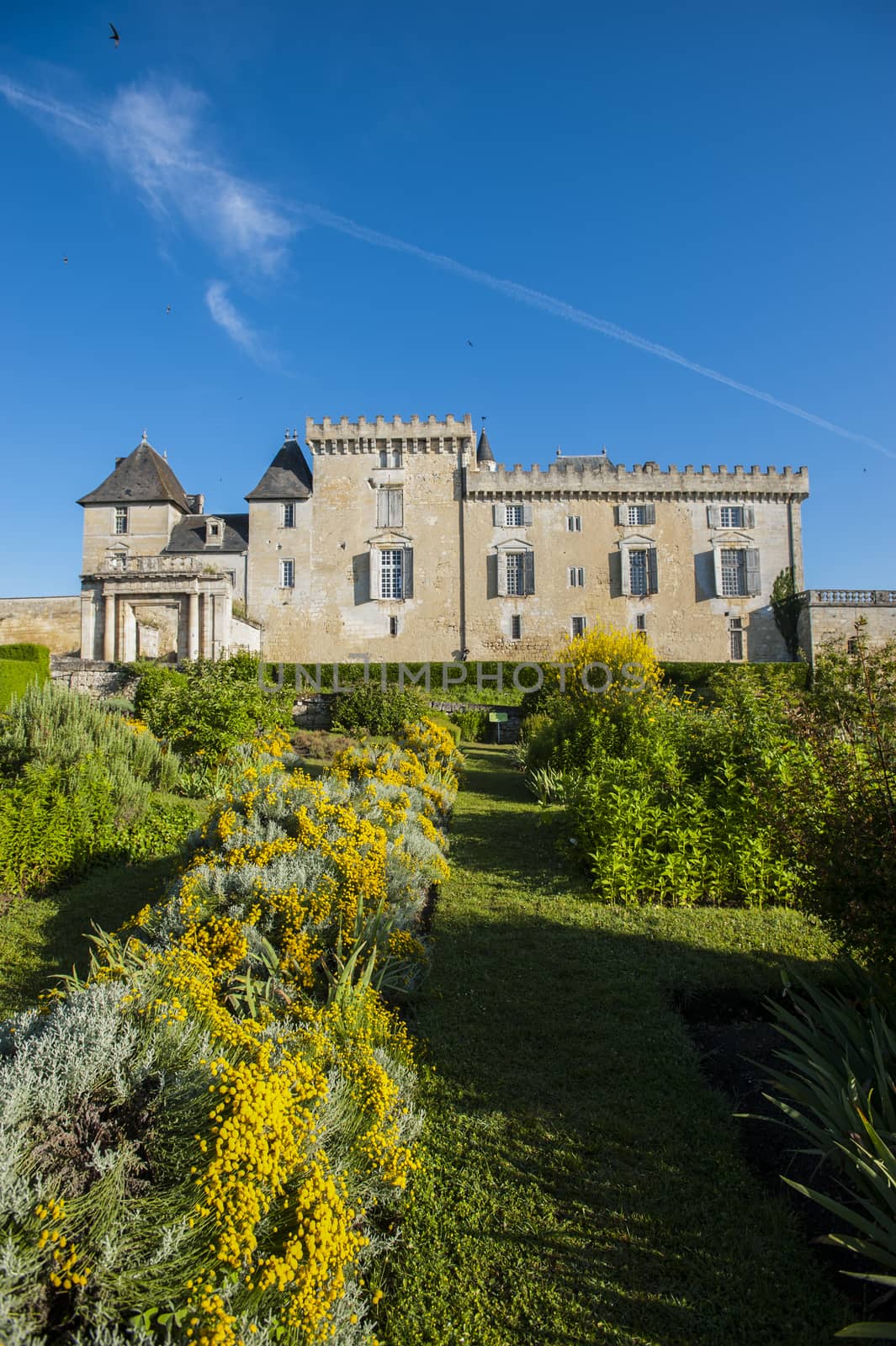 Castle of Vayres in Gironde, Aquitaine, France