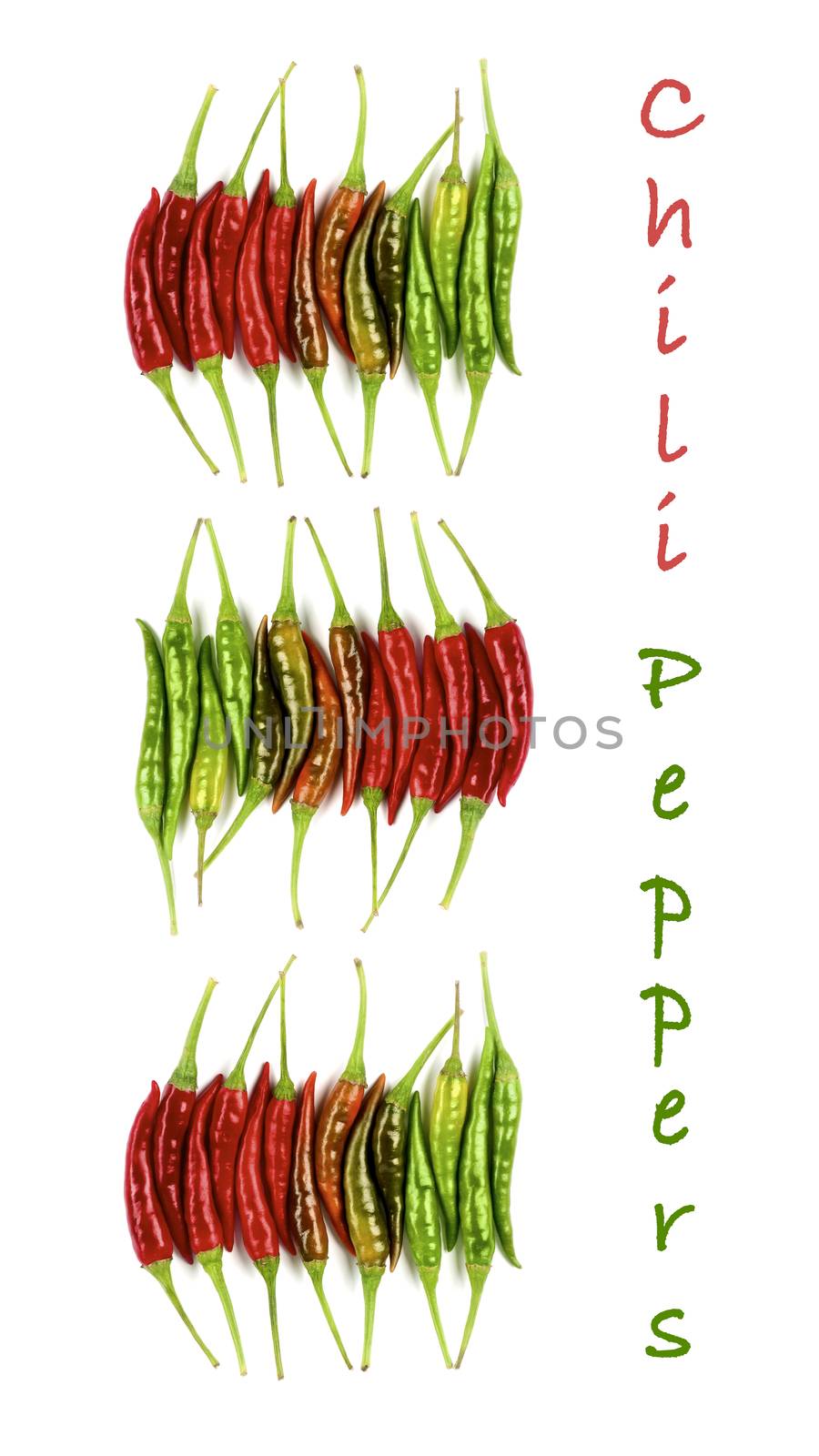 Collection of Chili Peppers by zhekos