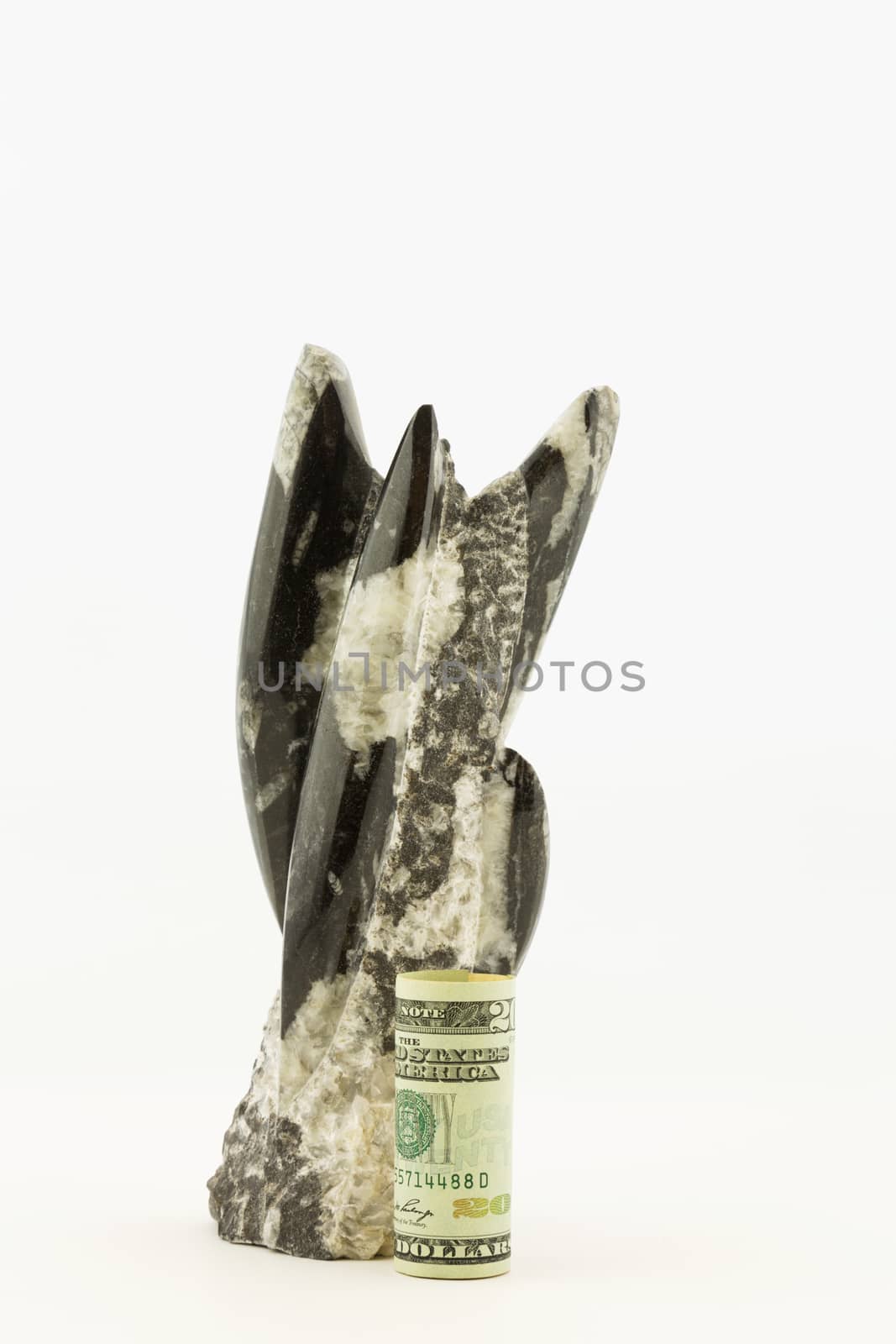 Time proven financial strategies are symbolized by American currency placed in front of rock with embedded fossils.  Vertical business still life with copy space. 