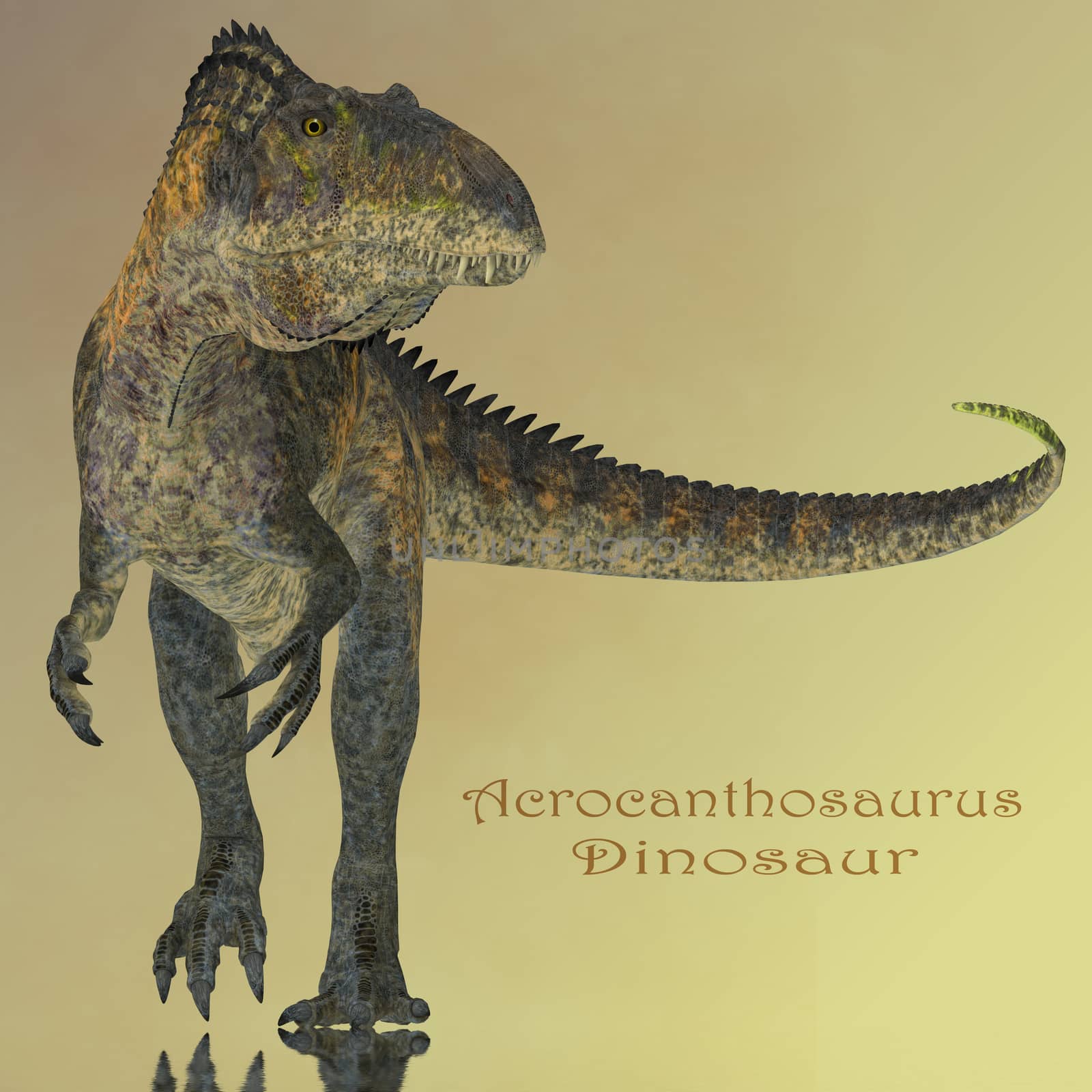 Acrocanthosaurus Dinosaur Mirror by Catmando
