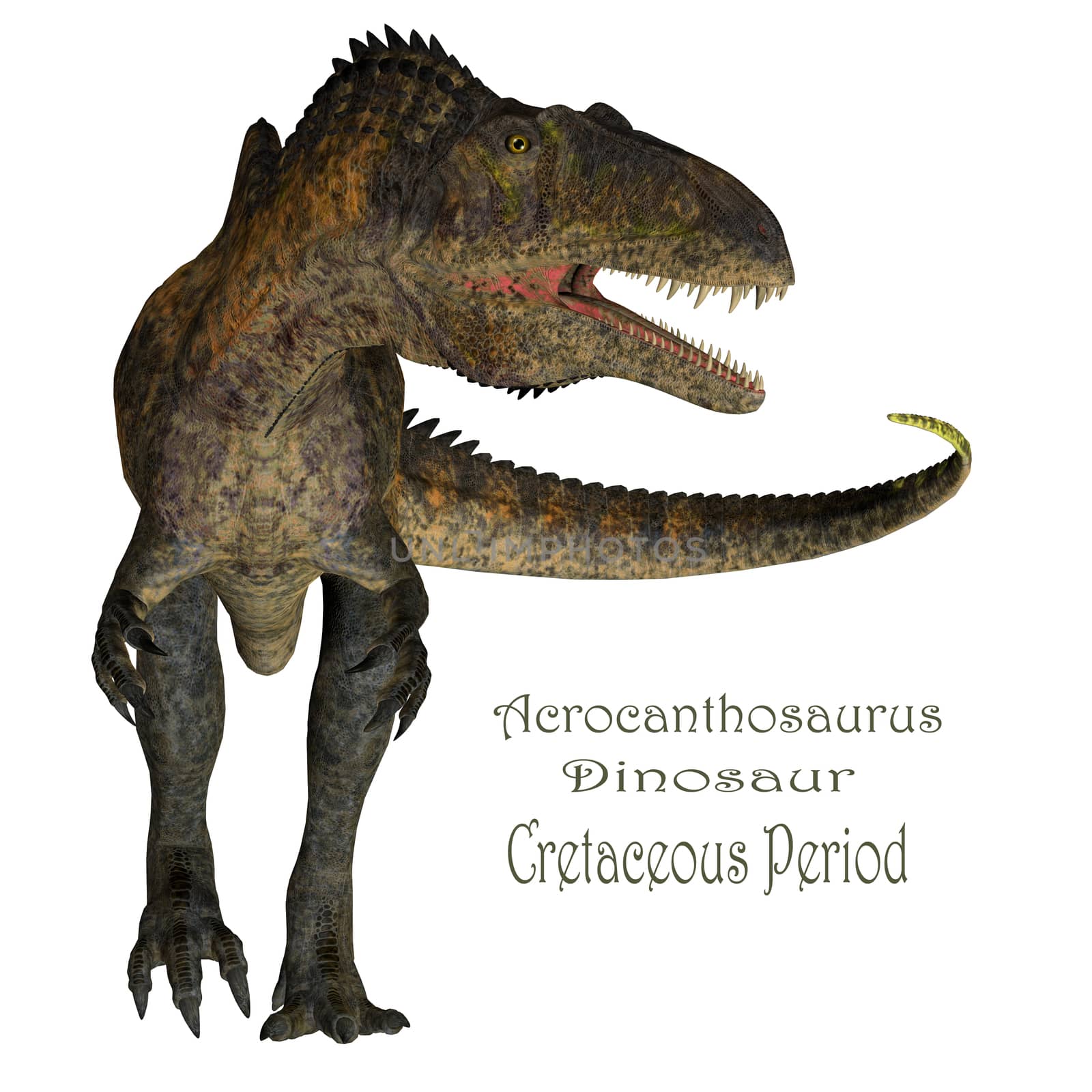 Acrocanthosaurus Dinosaur with Font by Catmando
