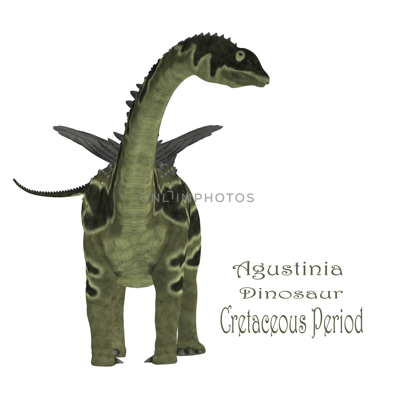 Agustinia Dinosaur with Font by Catmando