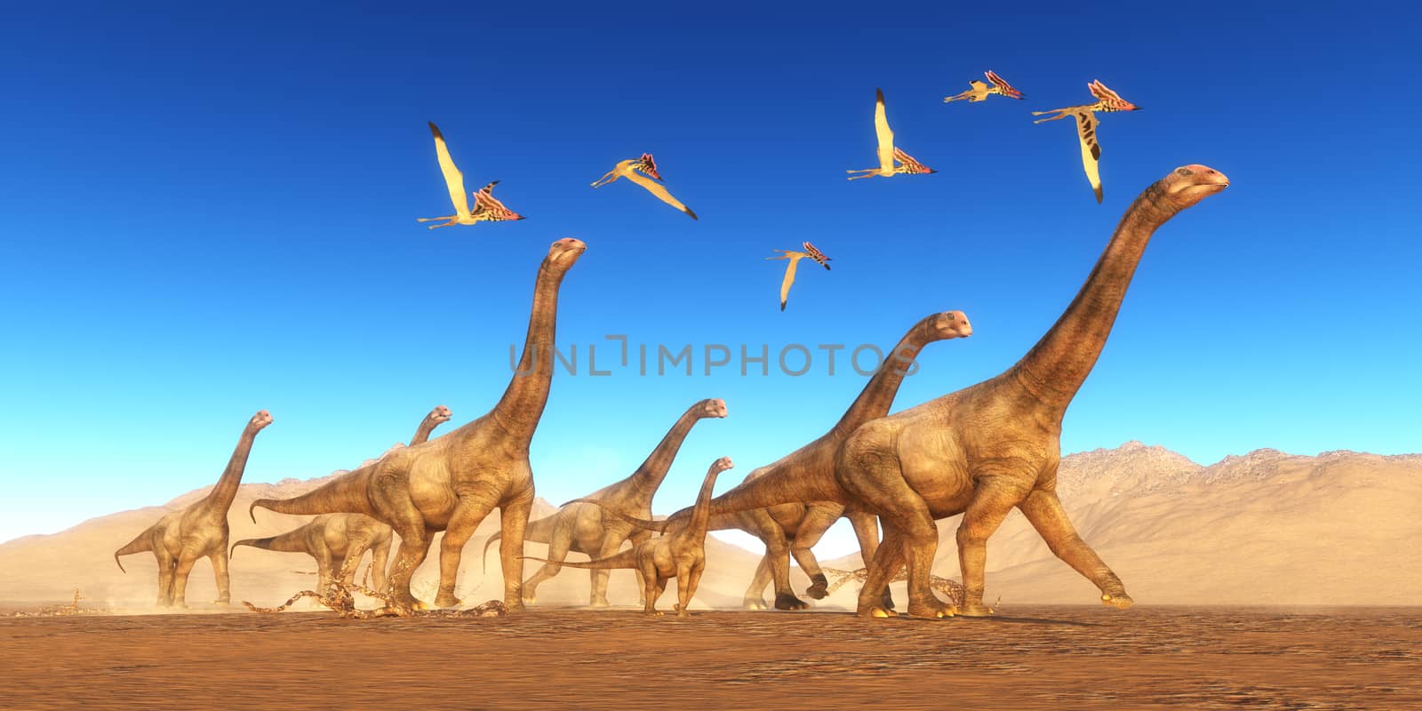 A flock of Thalassodromeus reptiles fly over a herd of Brontomerus dinosaurs crossing a desert area.