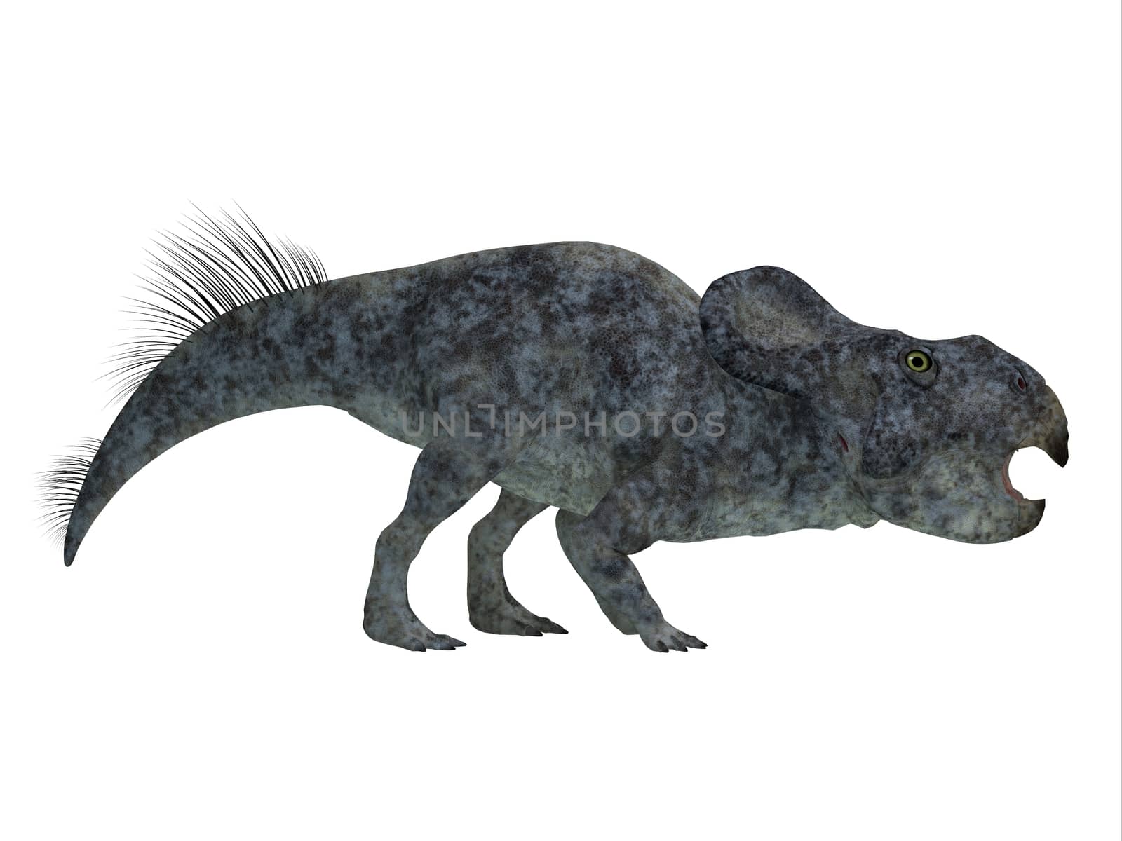 Protoceratops Dinosaur Side Profile by Catmando