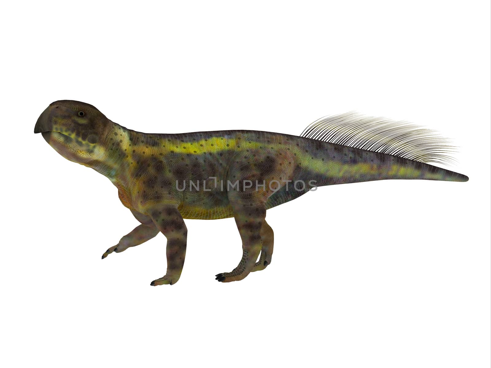 Psittacosaurus Dinosaur Side Profile by Catmando