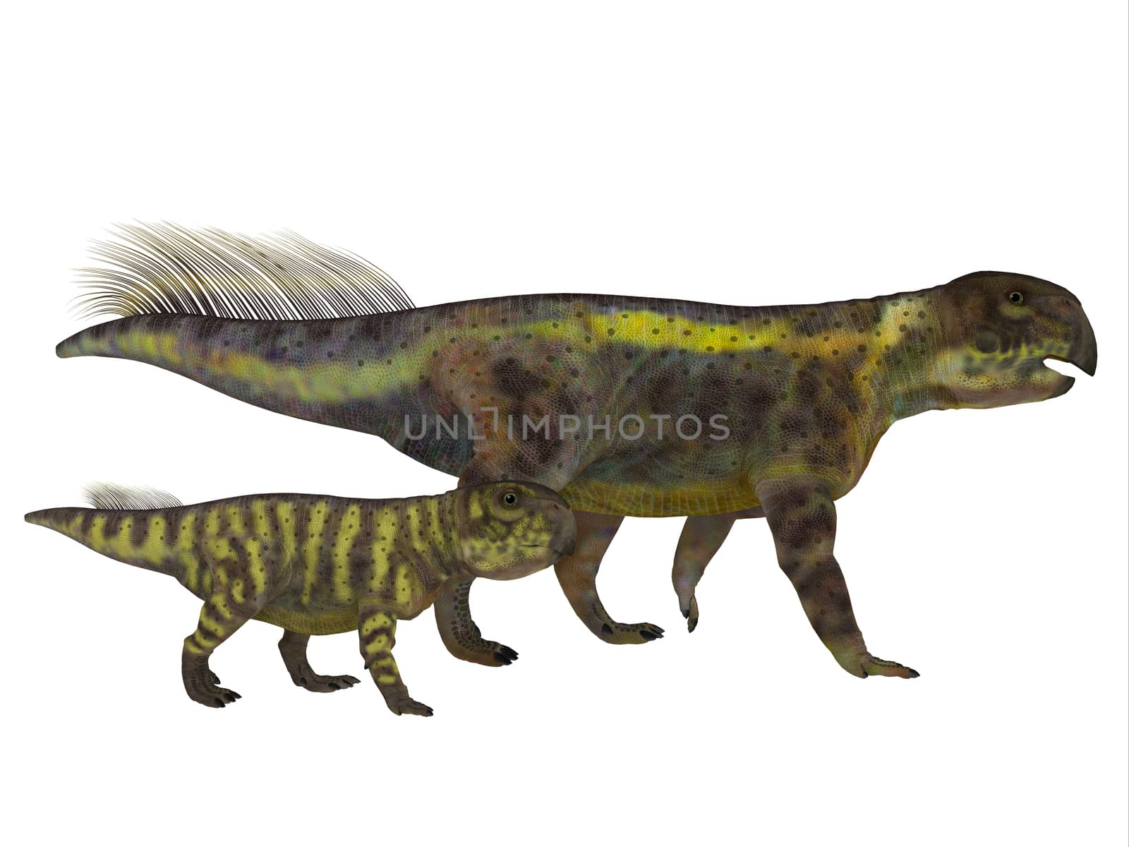 Psittacosaurus Dinosaur with Juvenile by Catmando