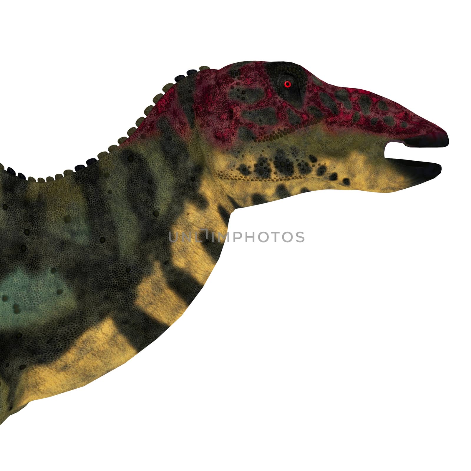 Shuangmiaosaurus Dinosaur Head by Catmando