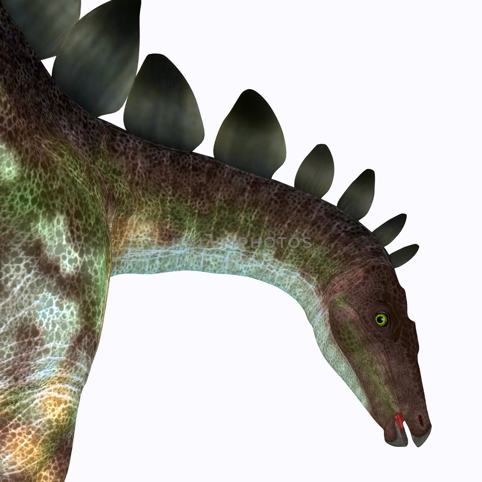 Stegosaurus was an armored herbivorous dinosaur that lived in North America during the Jurassic Period.