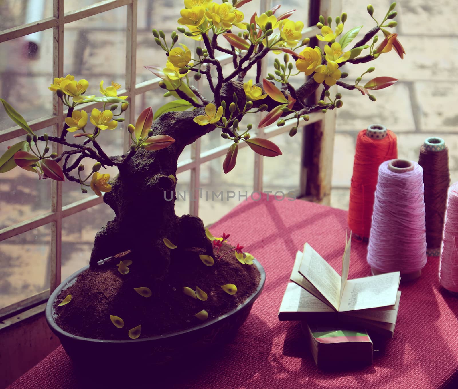 Study space at home near window in springtime with apricot blossom pot and book on desk, nice artificial flower to decor