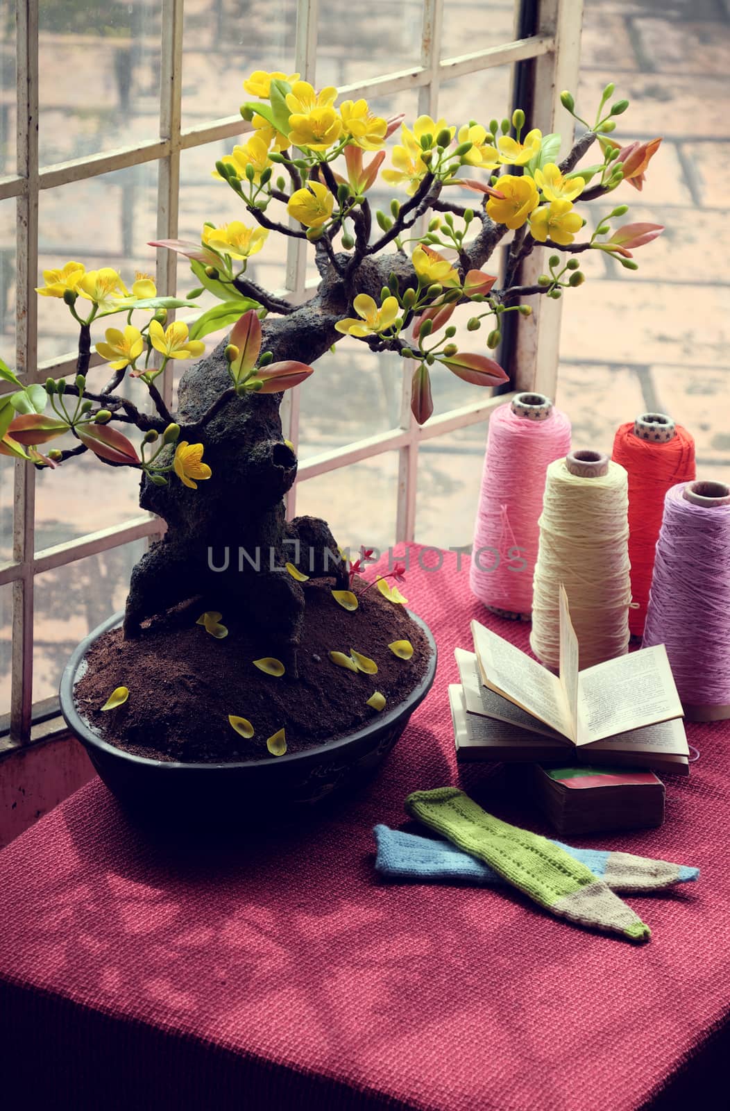 Study space at home near window in springtime with apricot blossom pot and book on desk, nice artificial flower to decor