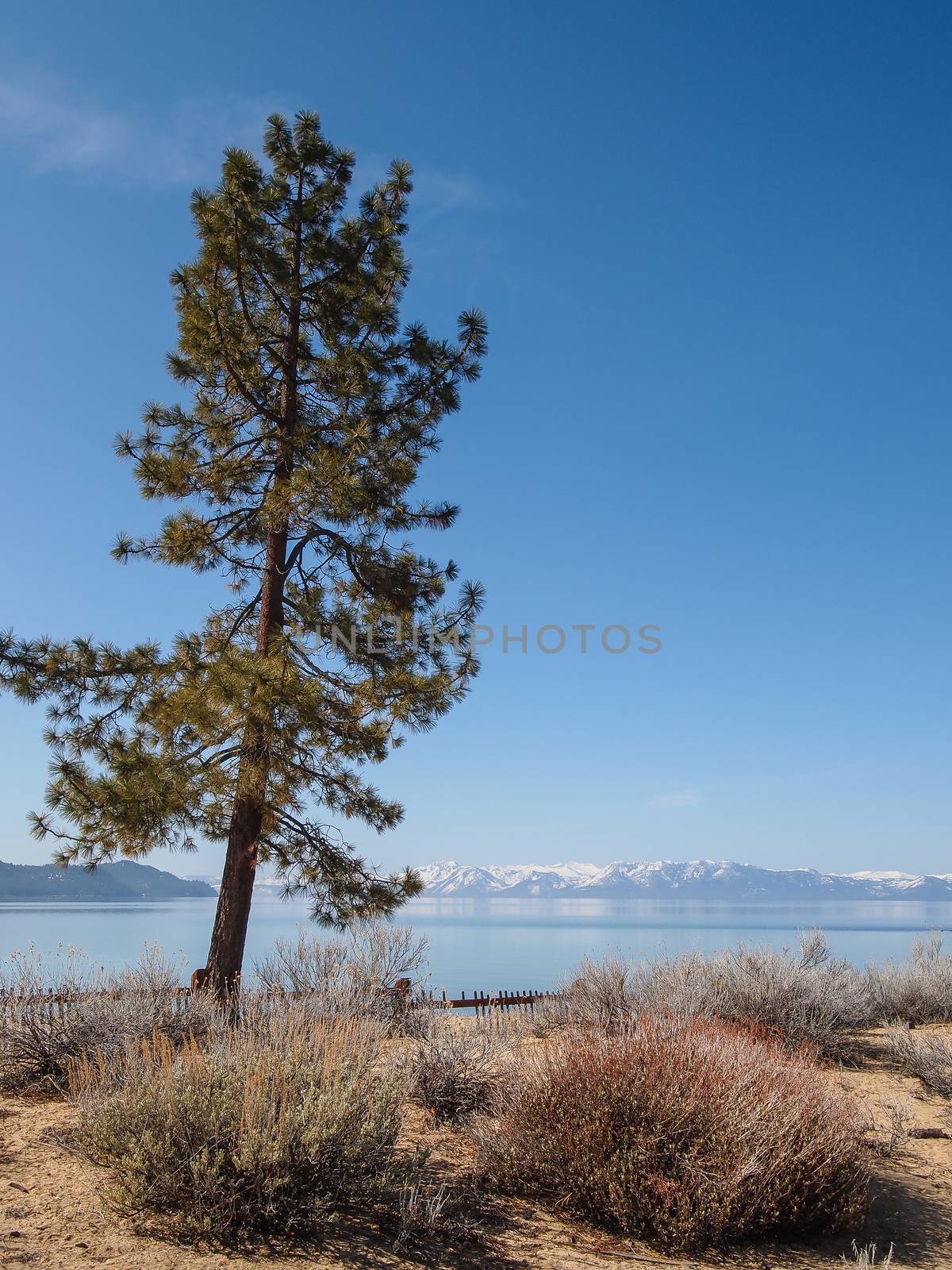 Scenic view of beautiful Lake Tahoe in Spring, landscape of the United States of America, clear water, nice sky, stone island, tree, fresh air and snow mountains