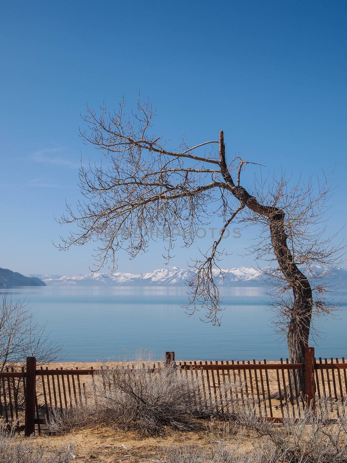 Scenic view of beautiful Lake Tahoe in Spring, landscape of the United States of America, clear water, nice sky, stone island, tree, fresh air and snow mountains