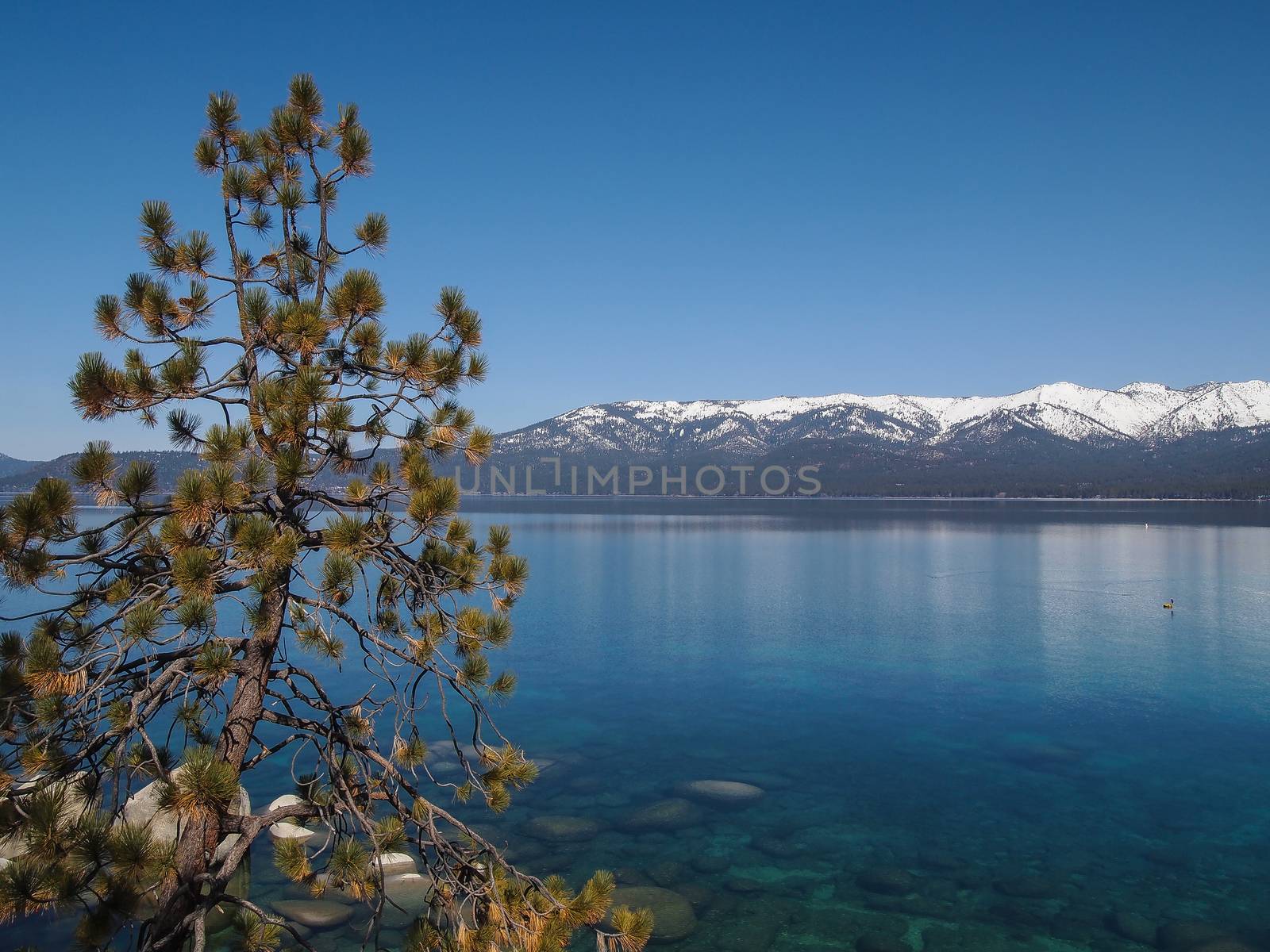 Scenic view of beautiful Lake Tahoe in Spring, landscape of the United States of America, clear water, nice sky, stone island, tree, fresh air and snow mountains