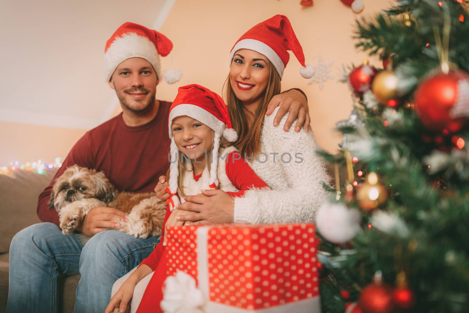 Beautiful happy family with their little dog is gathered together by a Christmas tree and gifts at the home. Looking at camera.