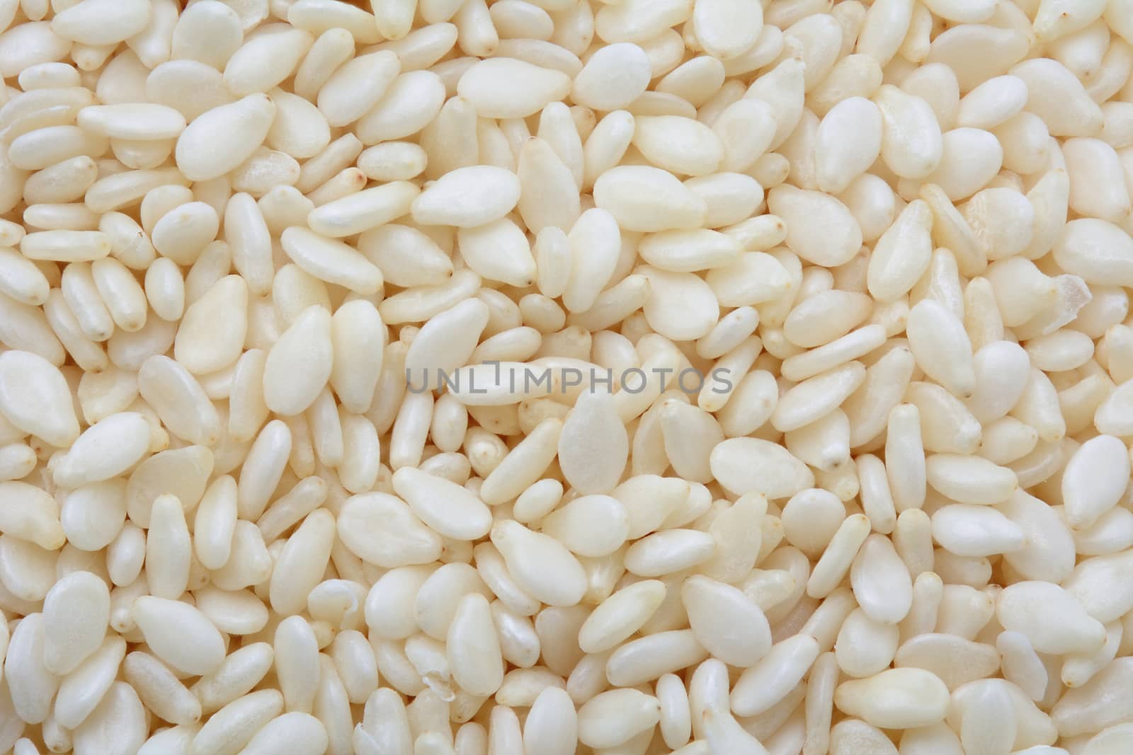 White sesame seeds background by ipuwadol