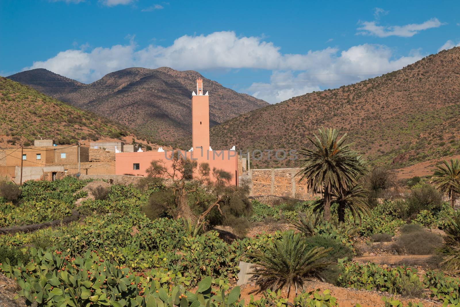 Mosque in an oasis in Morocco by YassminPhoto