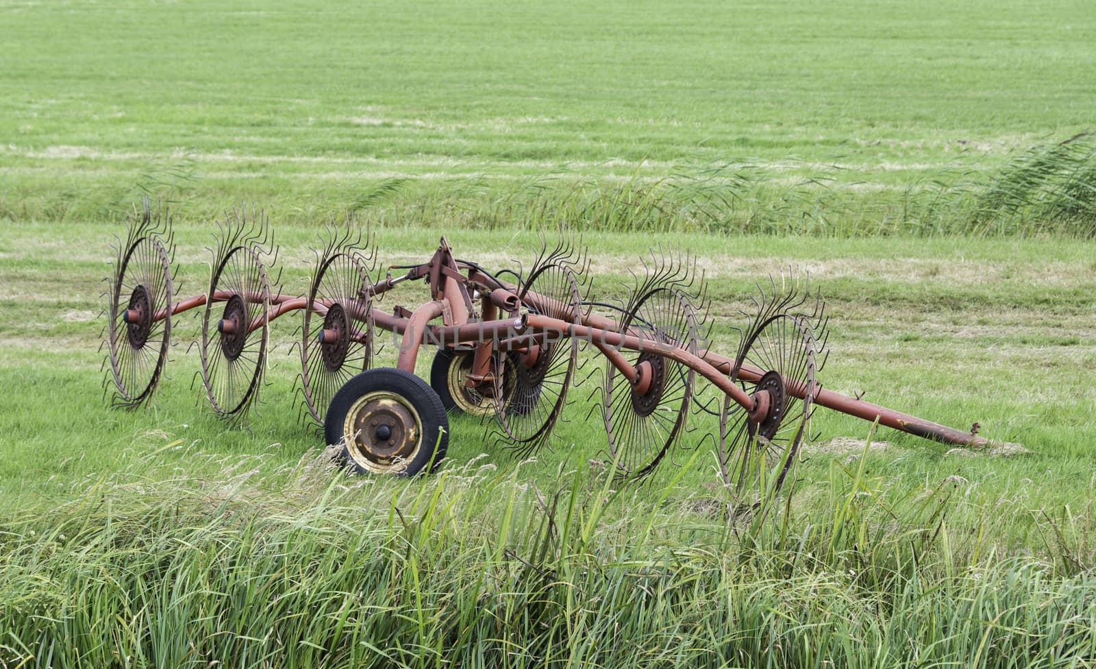 Old red agricultural machinery on green land 