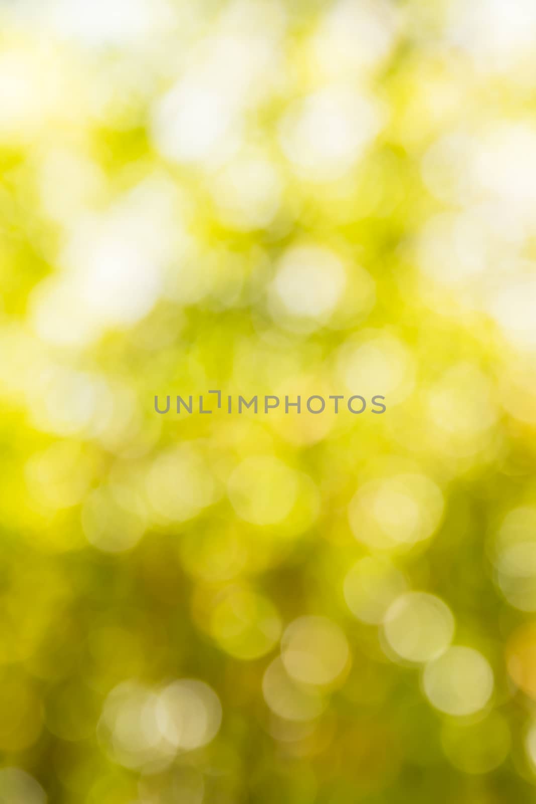 Blurred yellow lights circular bokeh for Christmas background,De focused abstract circular bokeh