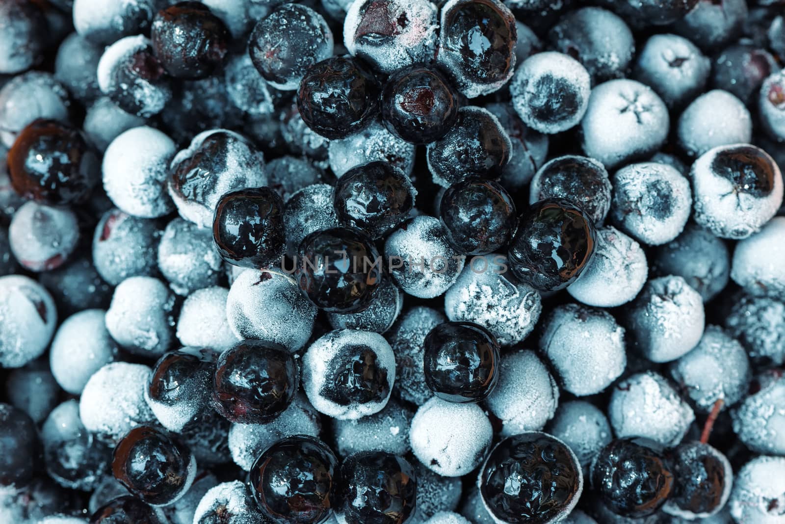 Frozen aronia chokeberry berries in a bowl by stevanovicigor