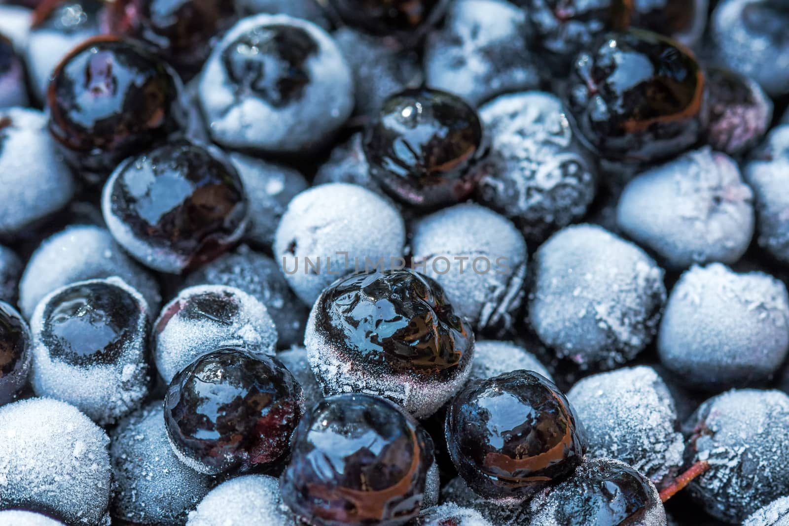 Frozen aronia chokeberry berries in a bowl by stevanovicigor