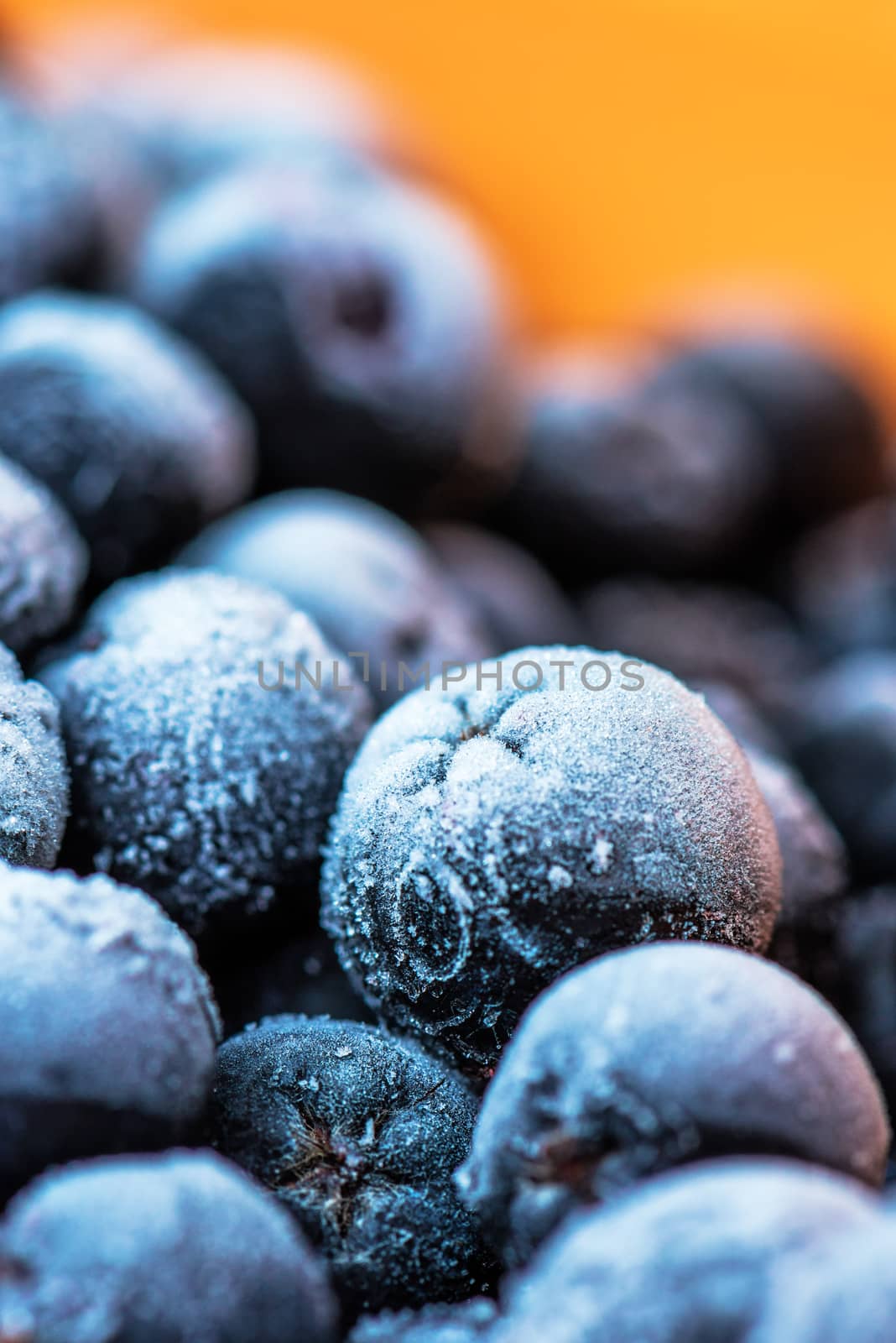 Frozen aronia chokeberry berries in a bowl by stevanovicigor