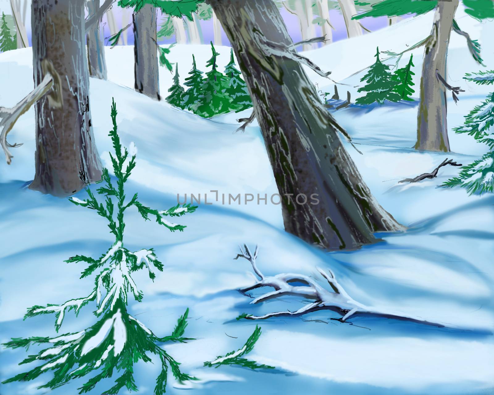 Snowdrifts  in a Winter Forest by Multipedia