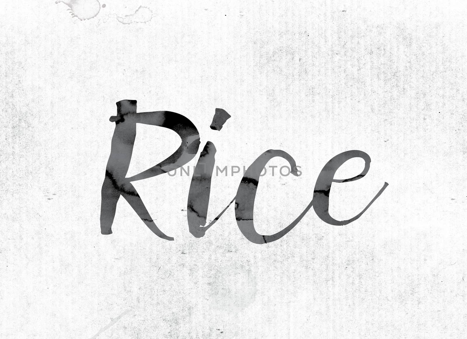 Rice Concept Painted in Ink by enterlinedesign