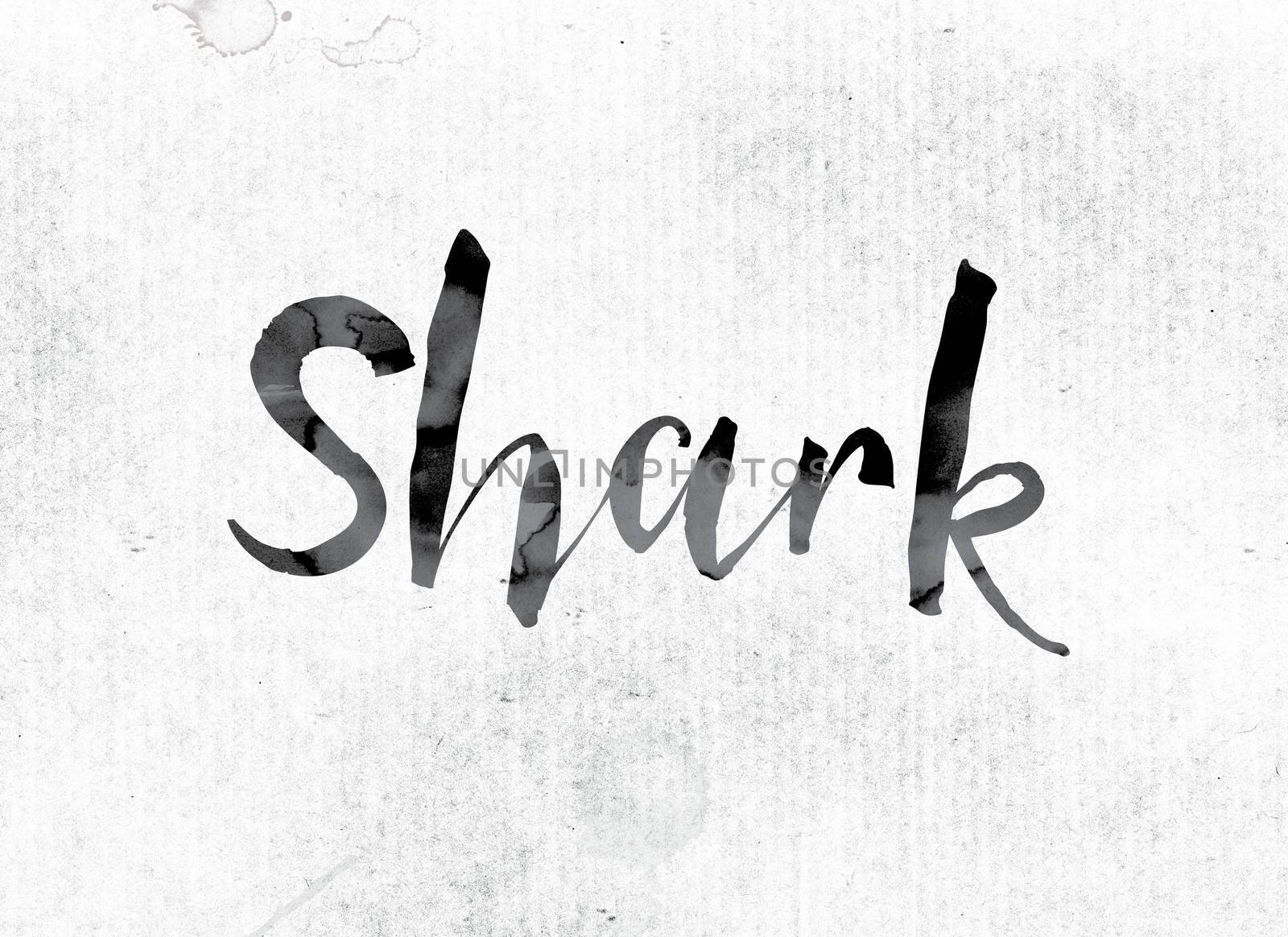 The word "Shark" concept and theme painted in watercolor ink on a white paper.