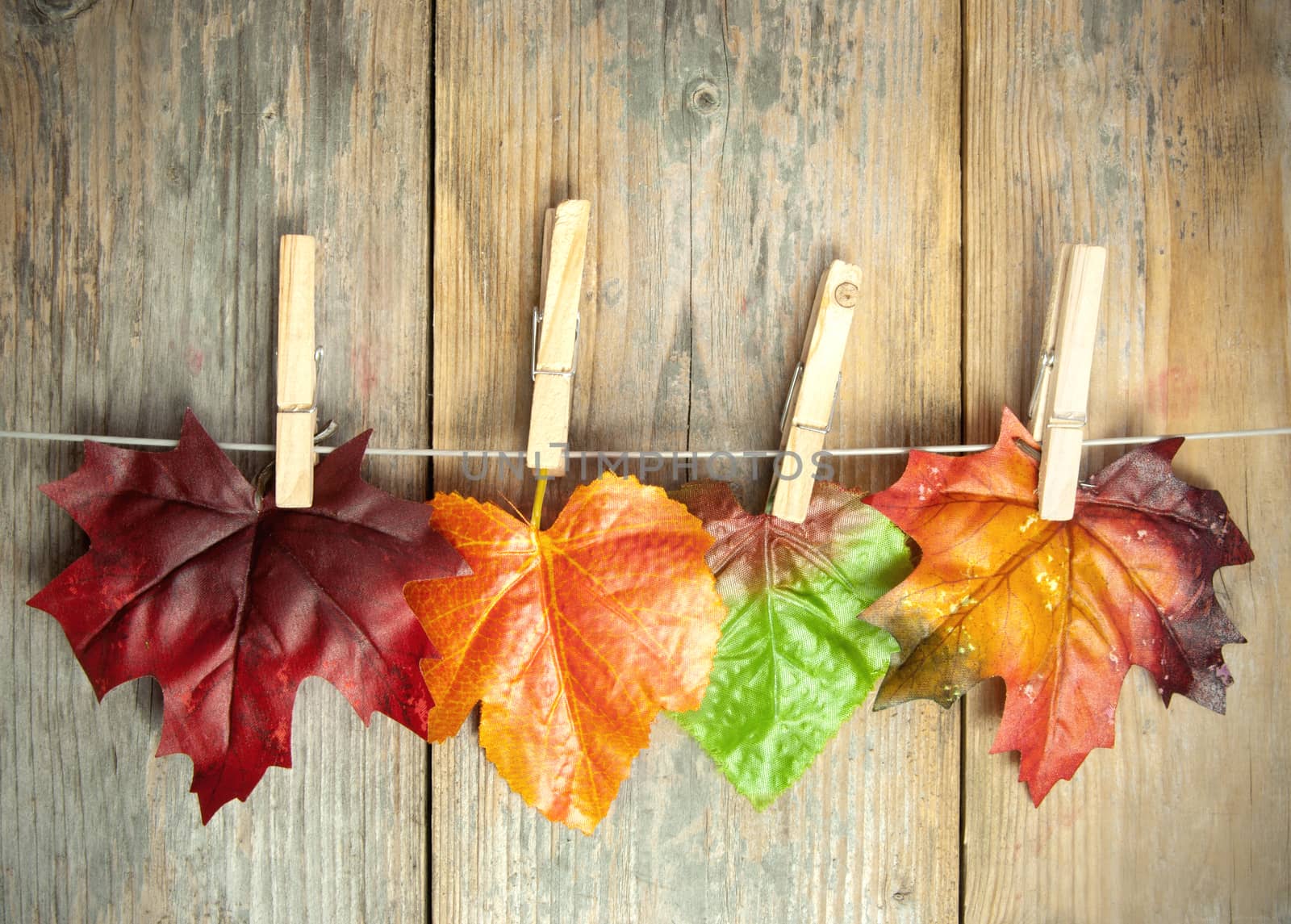 Autumn leave hanging on a clothes line with pegs against a wooden background