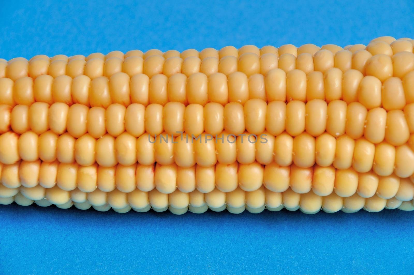 An ear of ripe corn by BZH22
