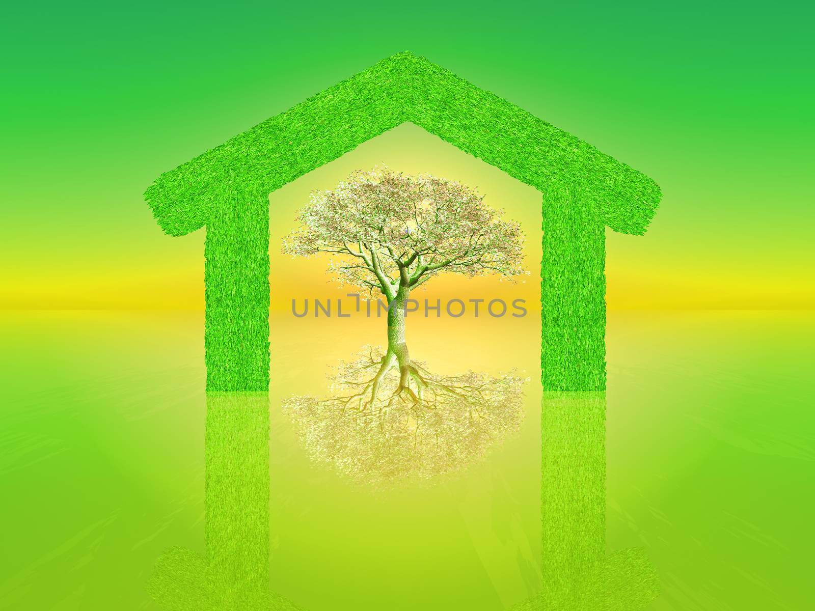 green home by gufoto