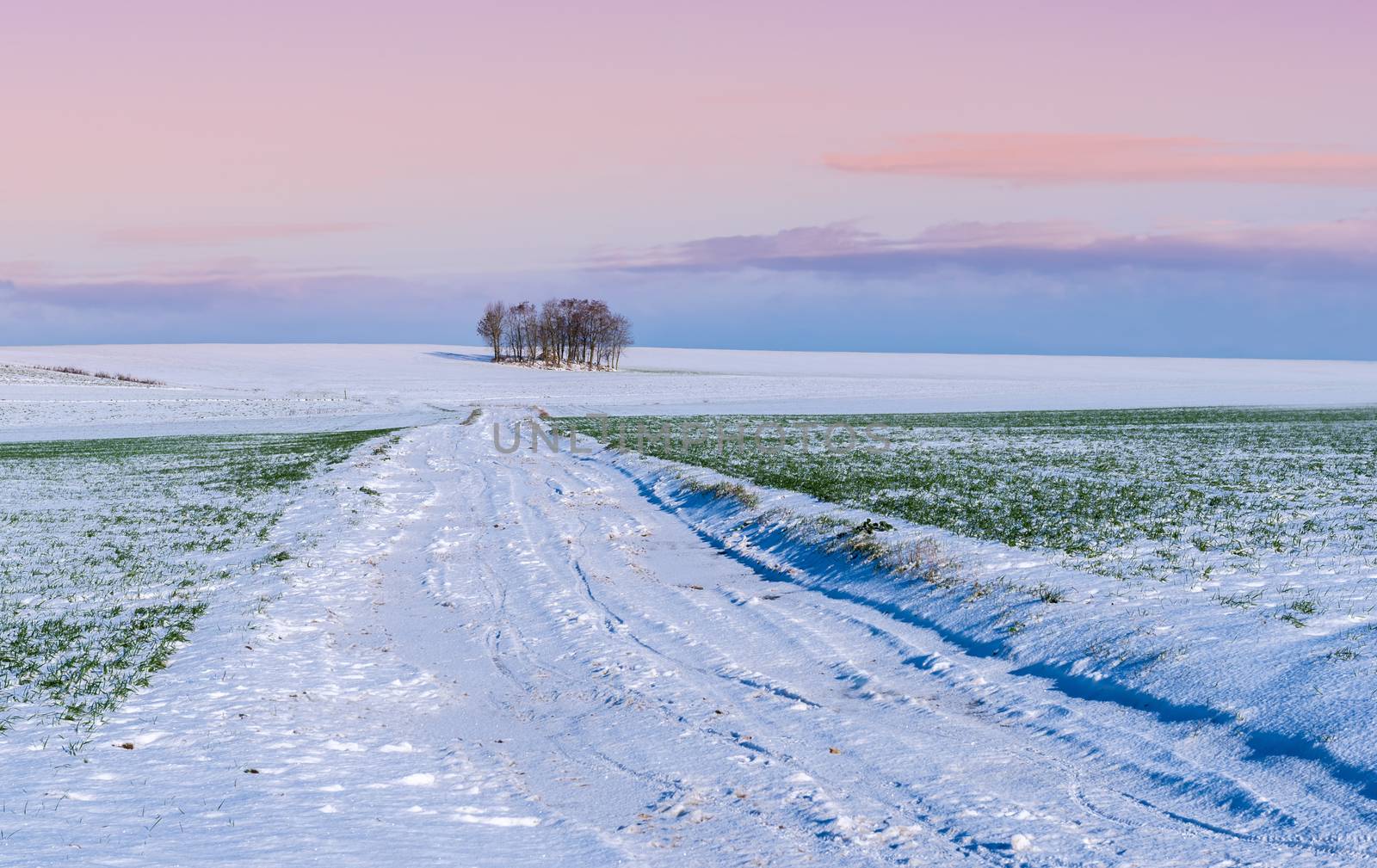 snowy countryside by gufoto