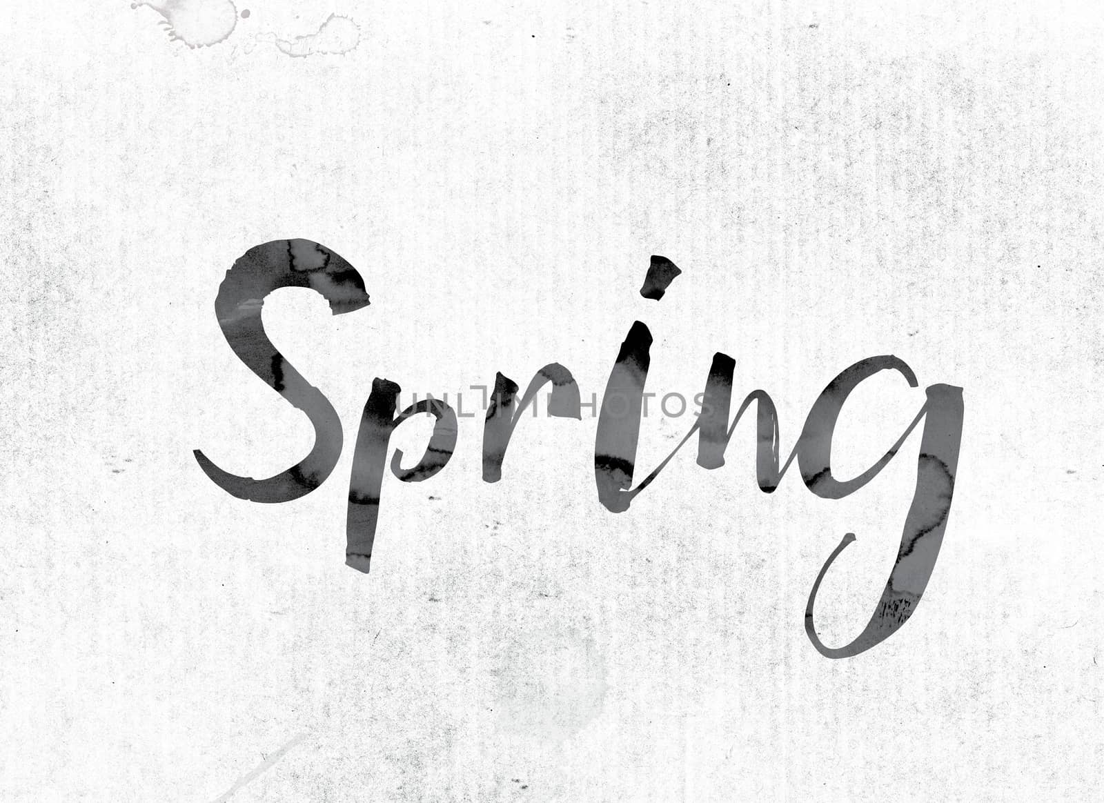 The word "Spring" concept and theme painted in watercolor ink on a white paper.