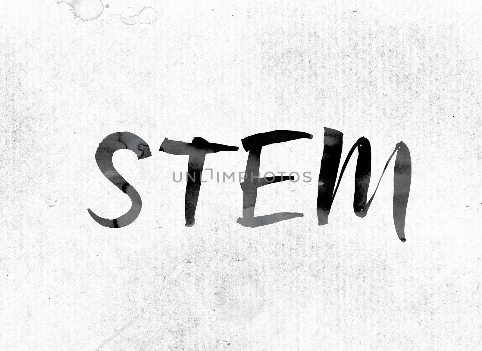 The word "STEM" concept and theme painted in watercolor ink on a white paper.
