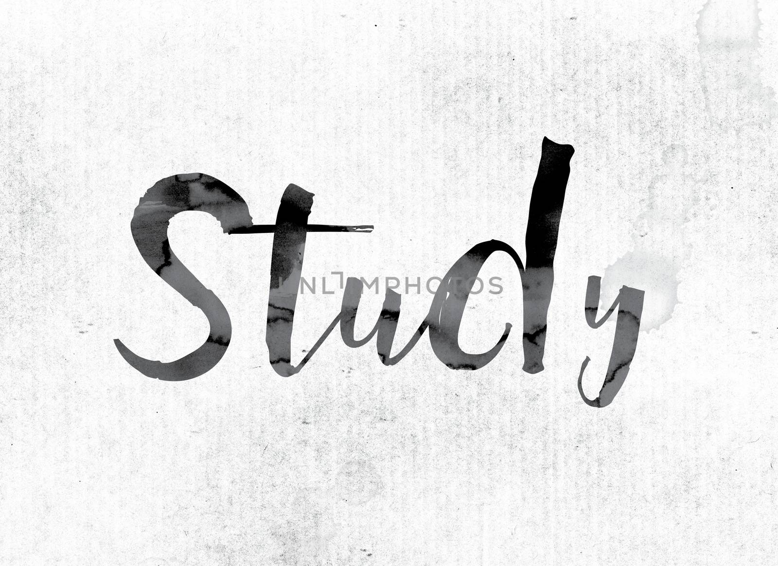 The word "Study" concept and theme painted in watercolor ink on a white paper.