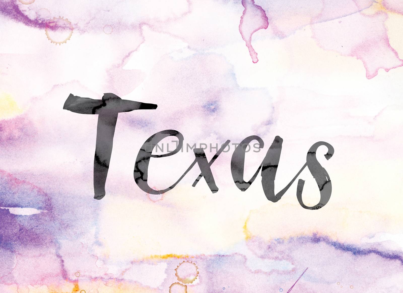 Texas Colorful Watercolor and Ink Word Art by enterlinedesign