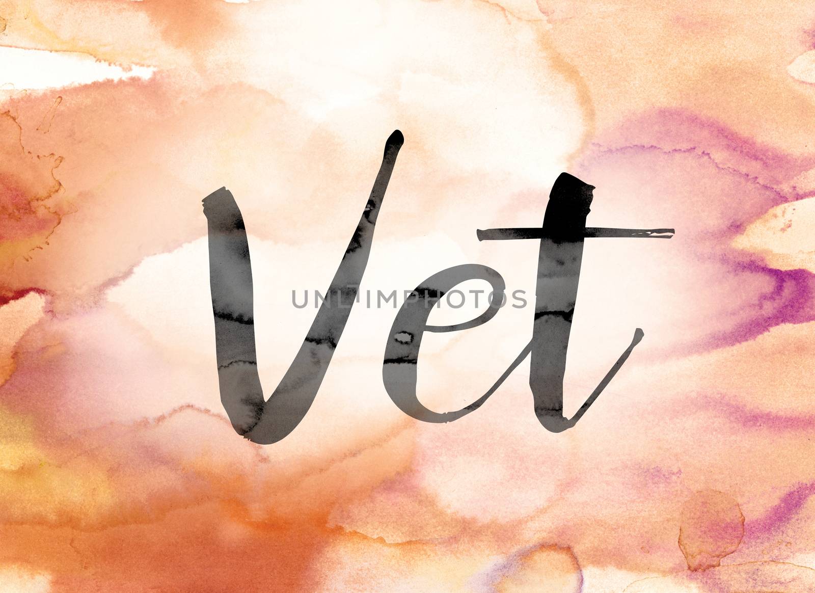 The word "Vet" painted in black ink over a colorful watercolor washed background concept and theme.