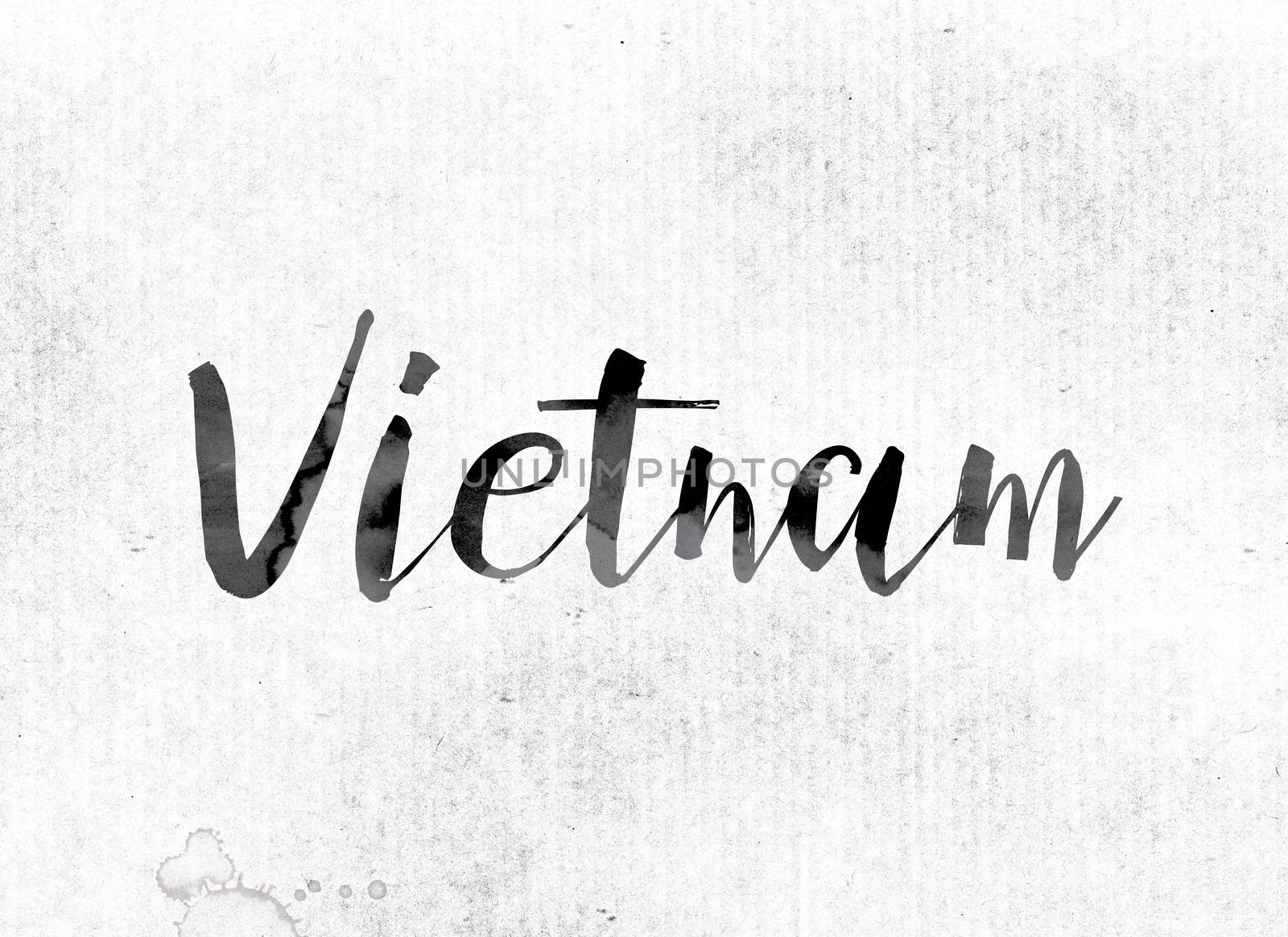 Vietnam Concept Painted in Ink by enterlinedesign