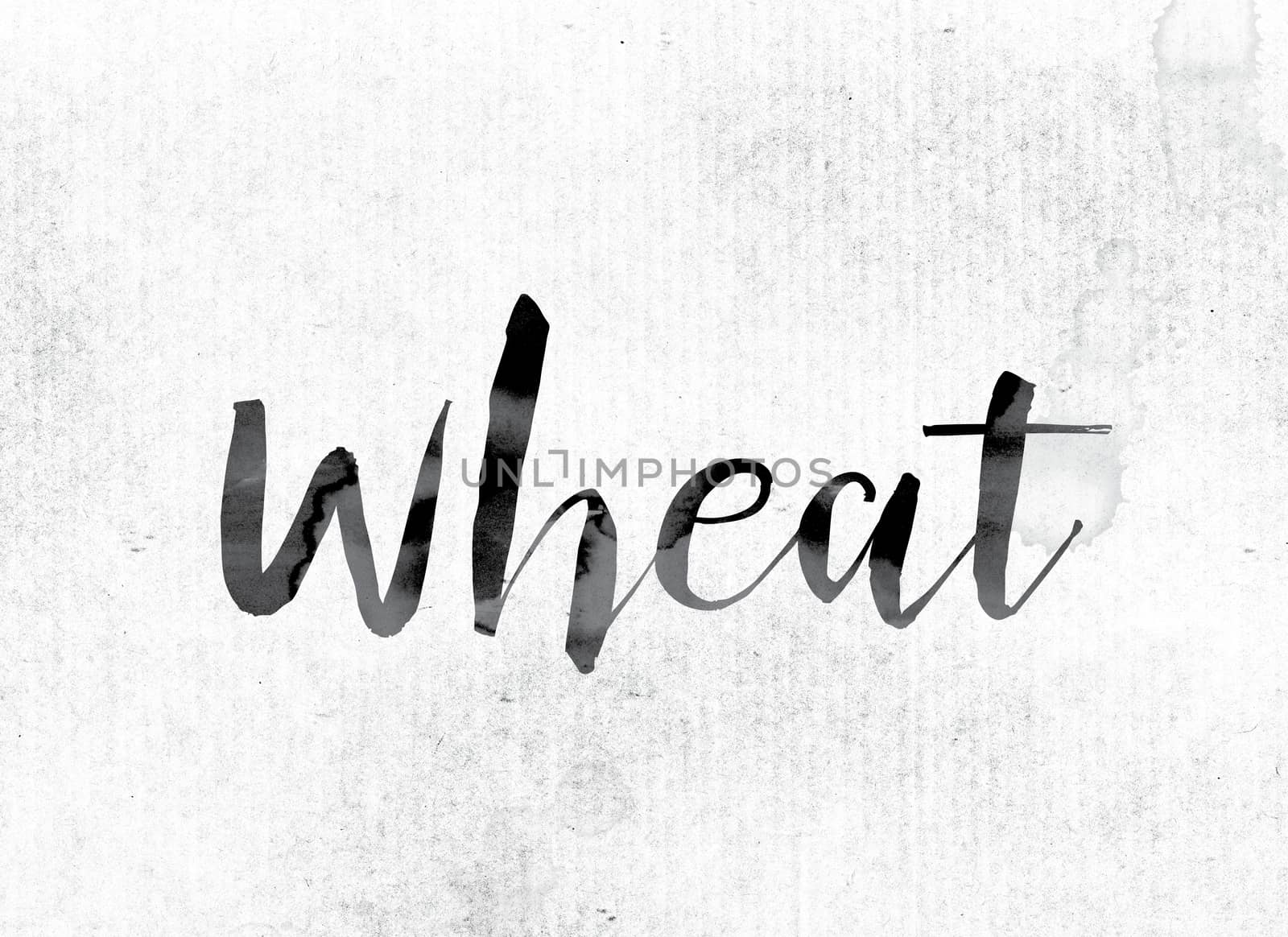 The word "Wheat" concept and theme painted in watercolor ink on a white paper.