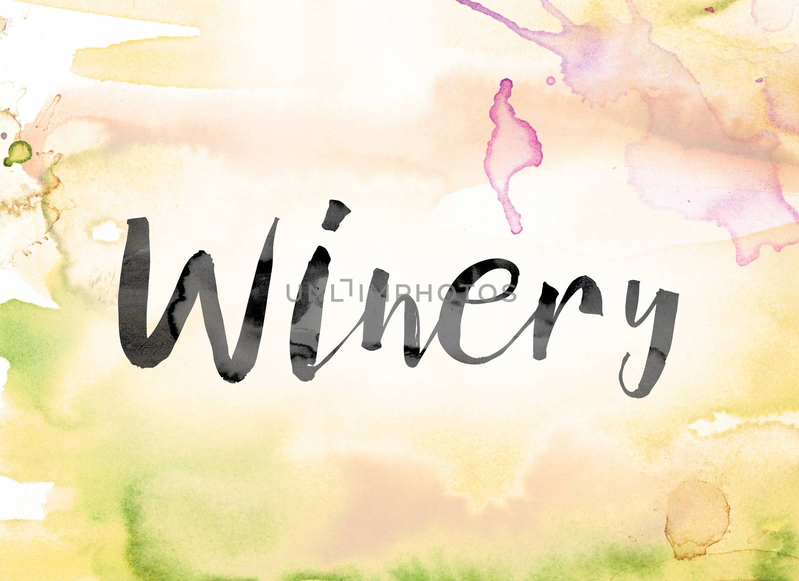 The word "Winery" painted in black ink over a colorful watercolor washed background concept and theme.