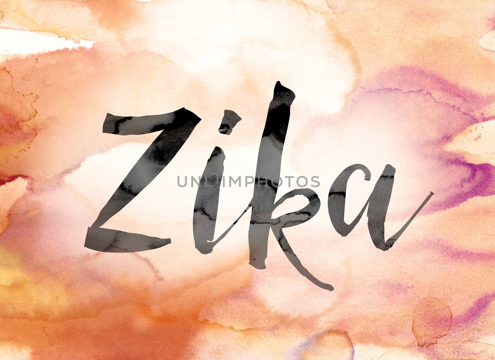 Zika Colorful Watercolor and Ink Word Art by enterlinedesign