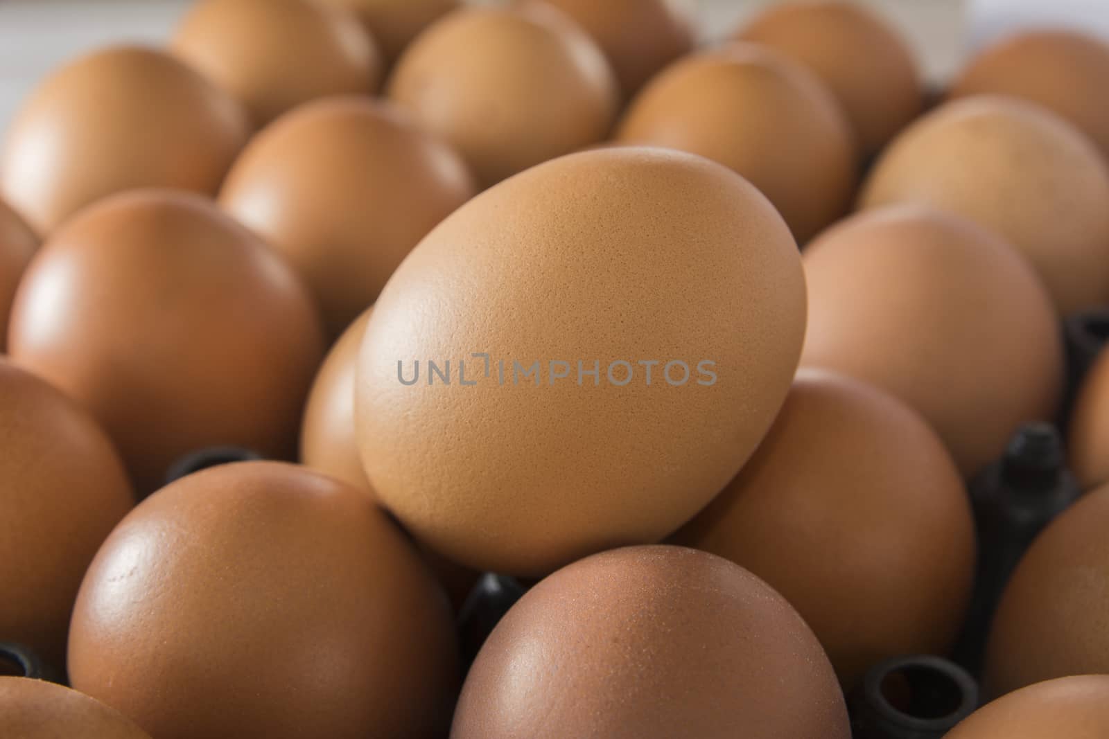 Fresh brown chicken egg in the market