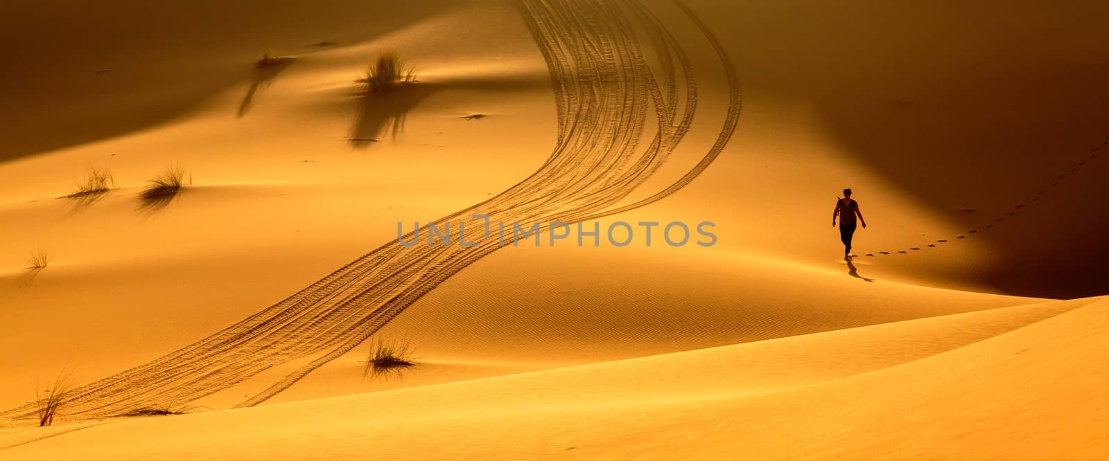 Merzouga, Morocco - Feb 24, 2016: Woman trekking along hot desert, beautiful orange sandy dunes, exploring Sahara, active vacation, discovering nature concept by pixinoo