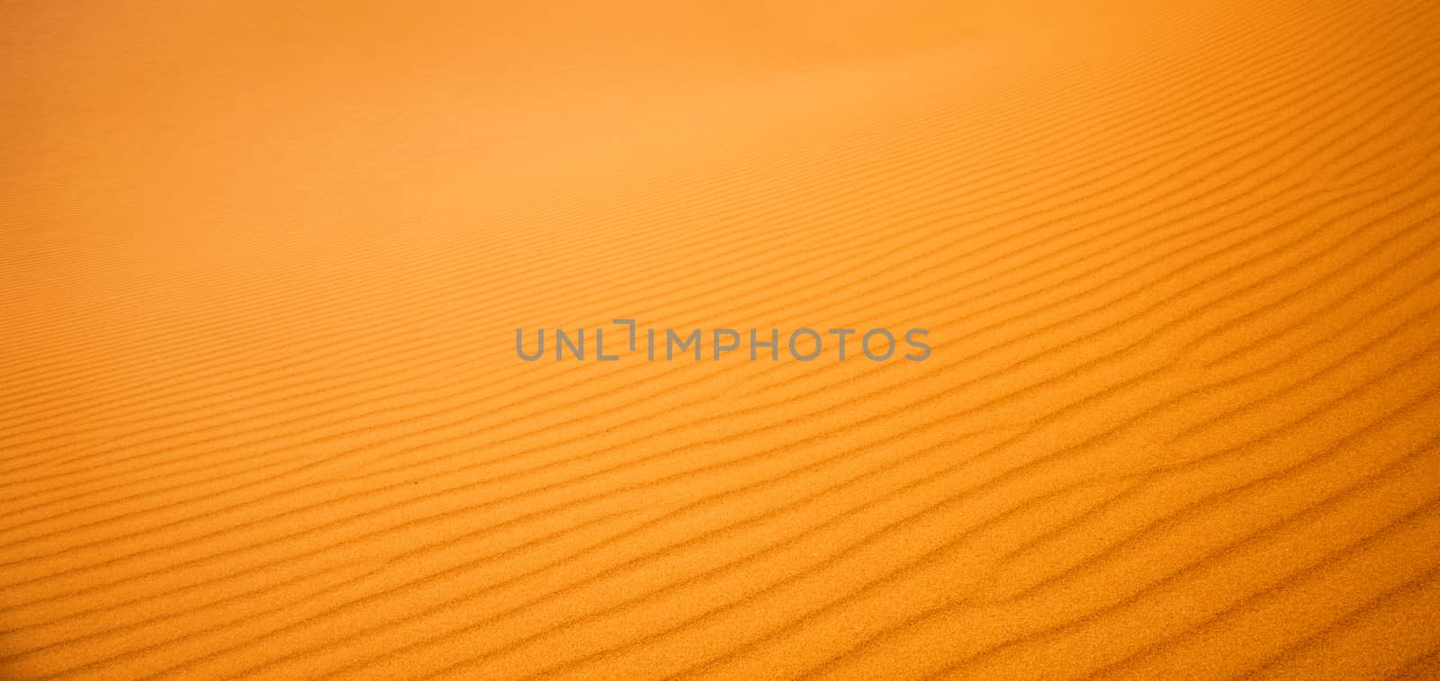close-up on sands of the desert