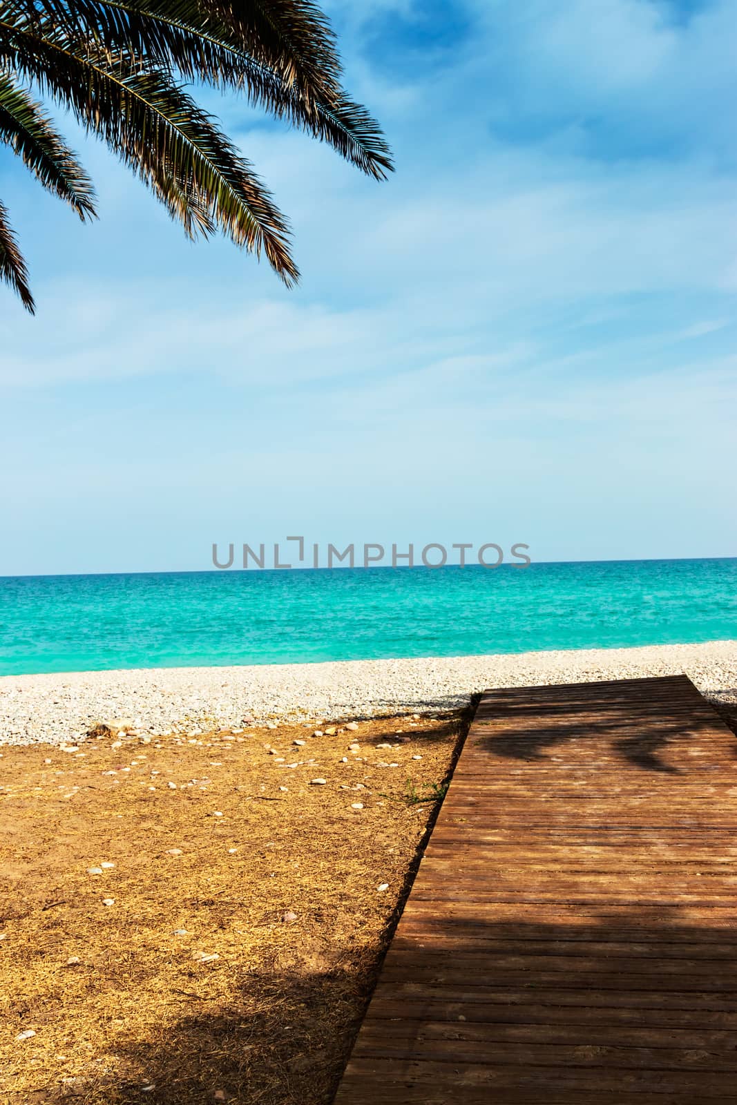 Wooden walkway on the beach with palm trees. Vertical image.