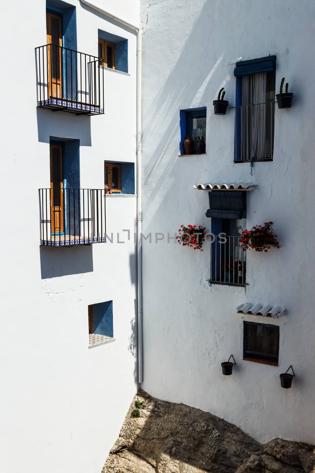 Windows decorated with flowers on the wall of a white facade. Vertical image.