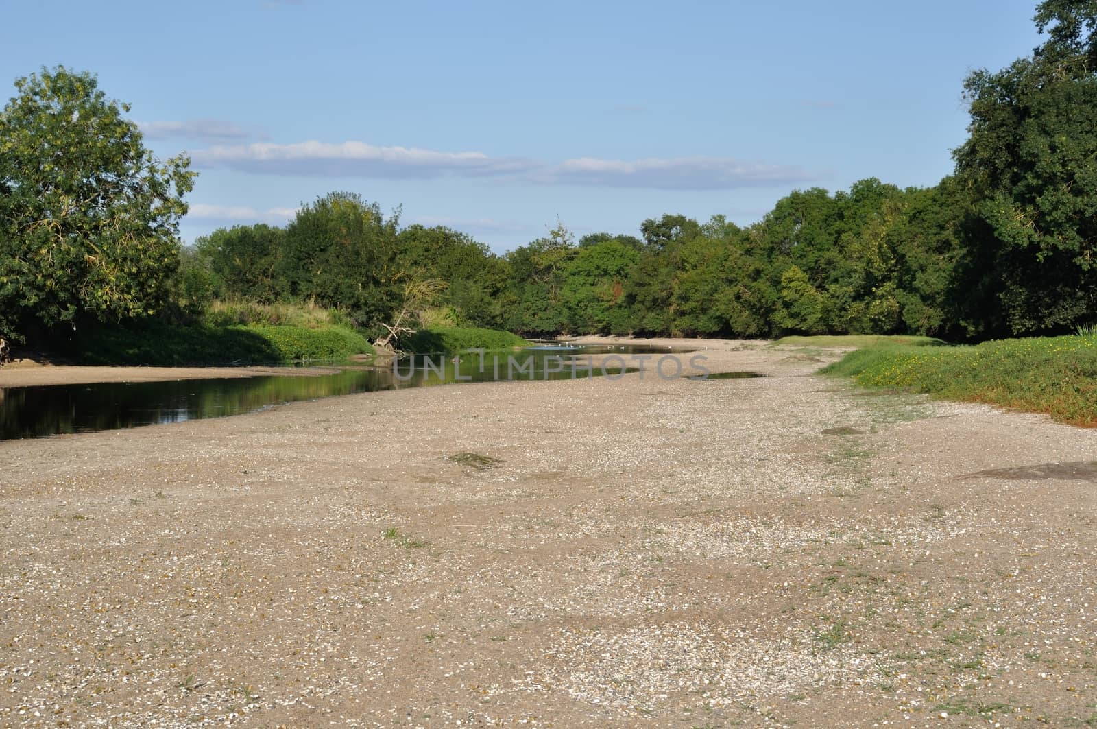 Louet river in Anjou