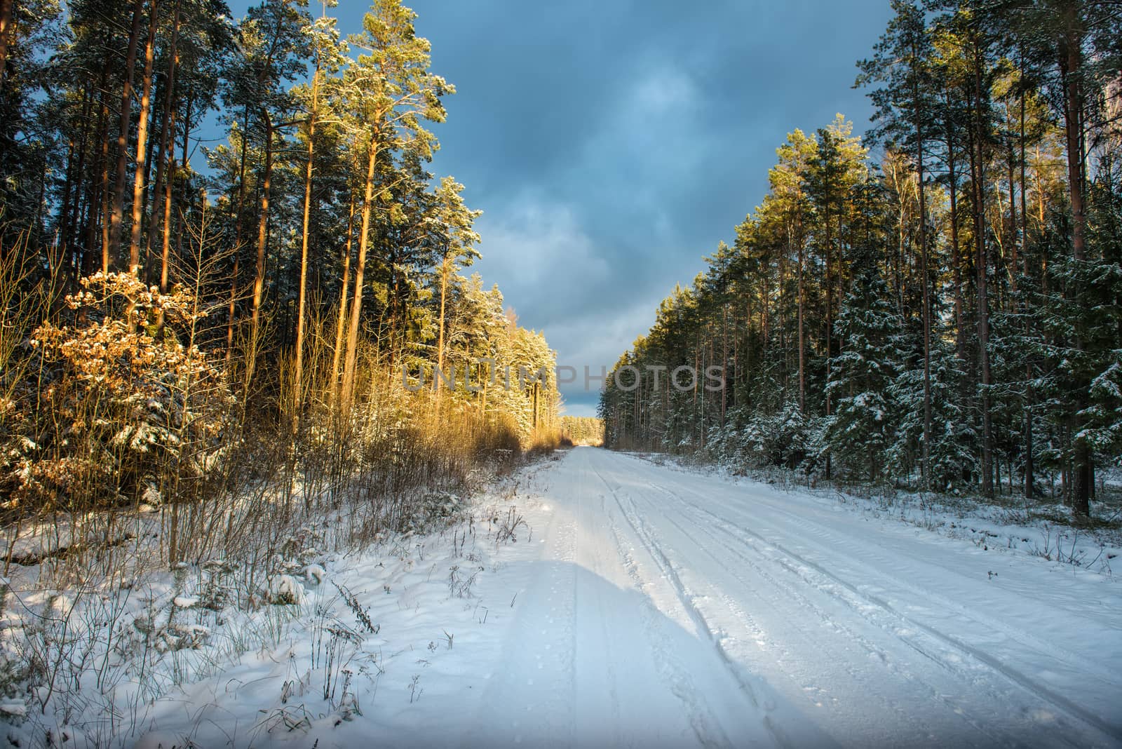 Empty snow covered road in winter forest, landscape with sun light 