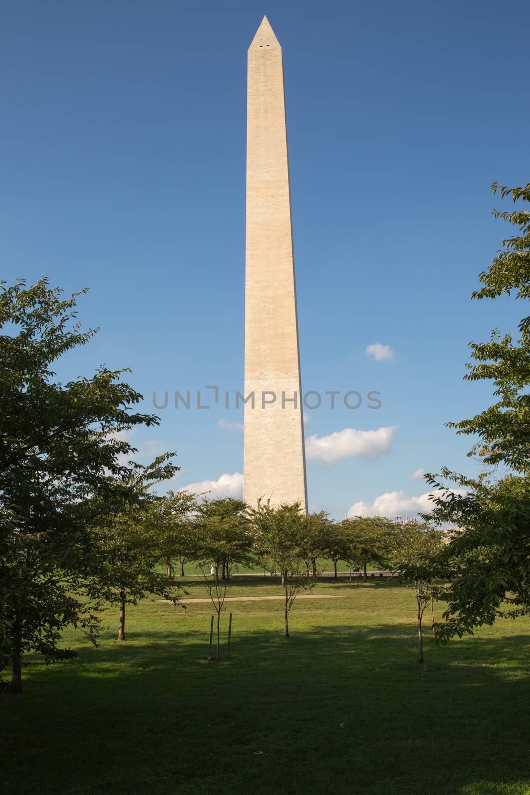The Washington Monument on the Mall by chrisukphoto