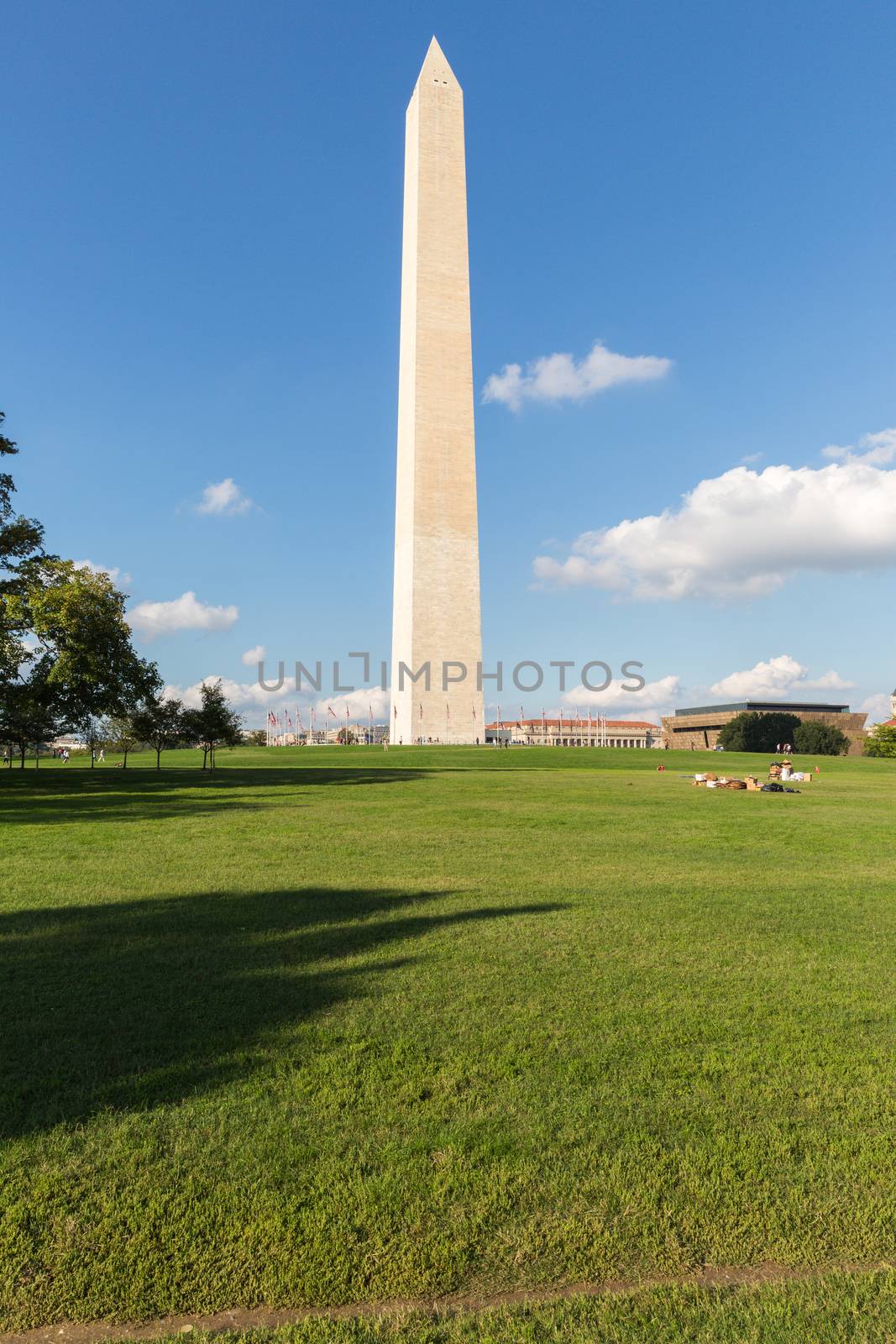 The Washington Monument on the Mall by chrisukphoto